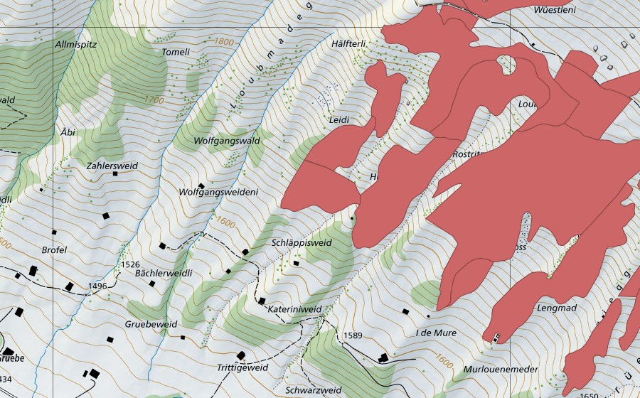 swisstopo national map showing the protected perimeter of Färmelmeder (Dry meadow)