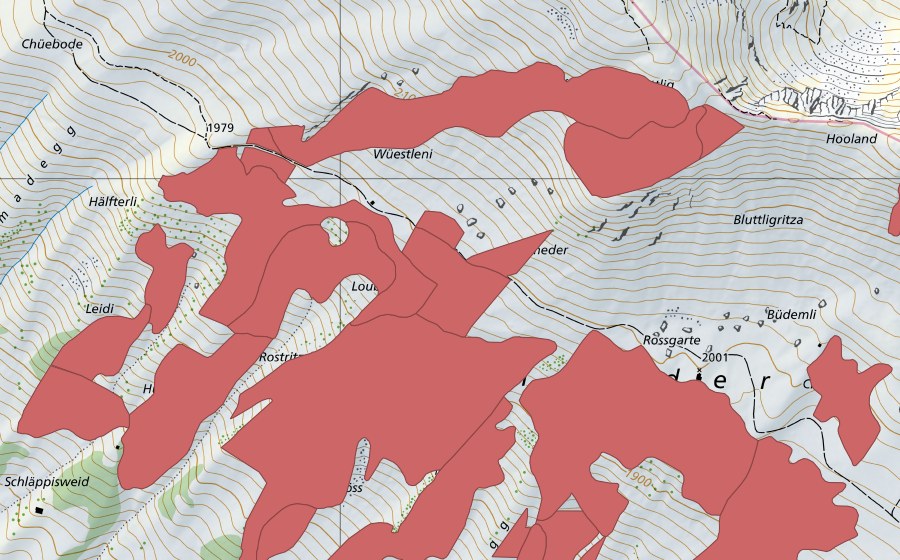 Landeskarte swisstopo mit dem Schutzperimeter von Färmelmeder (Trockenwiese)