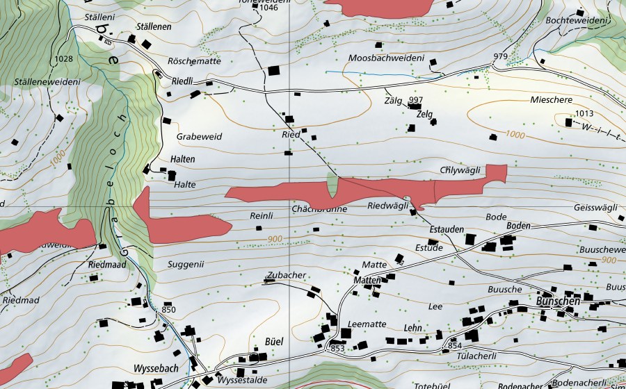 Landeskarte swisstopo mit dem Schutzperimeter von Farniweid (Trockenwiese)