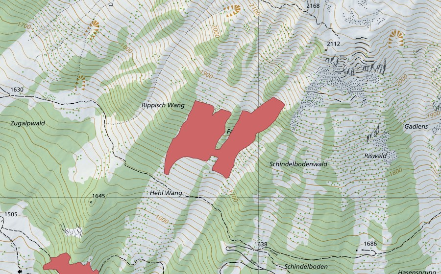 swisstopo national map showing the protected perimeter of Fazadra (Dry meadow)
