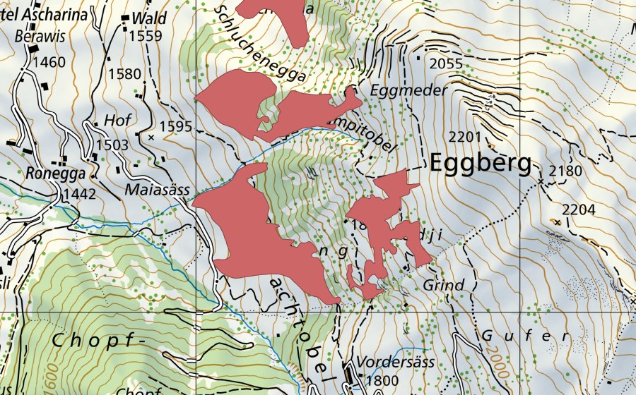 Landeskarte swisstopo mit dem Schutzperimeter von Fedji (Trockenwiese)