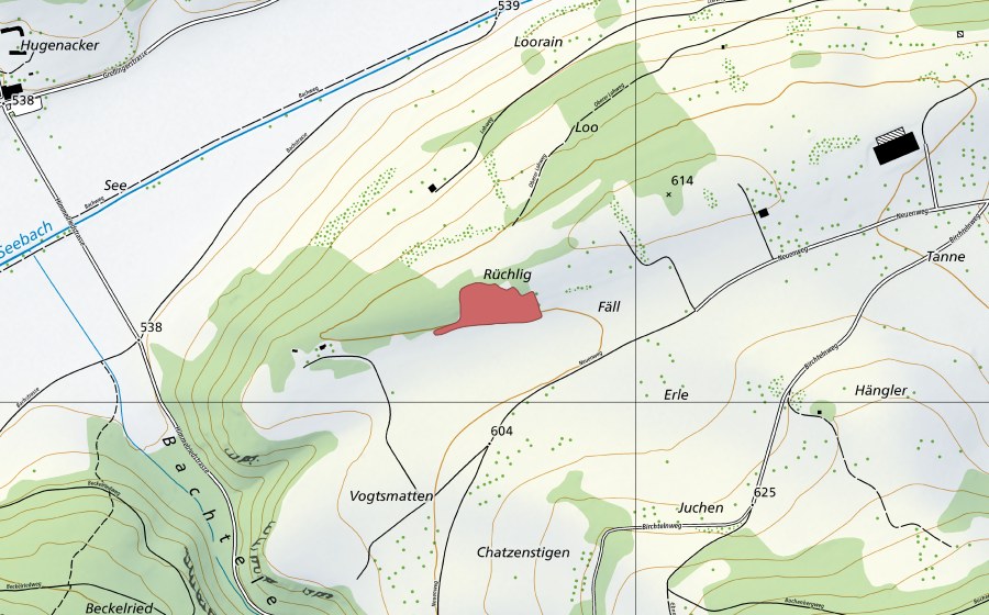 swisstopo national map showing the protected perimeter of Feld (Dry meadow)