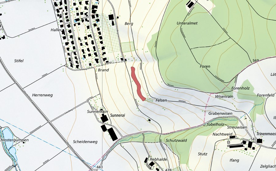 Carte nationale swisstopo avec le périmètre protégé de Felsen (Prairie sèche)