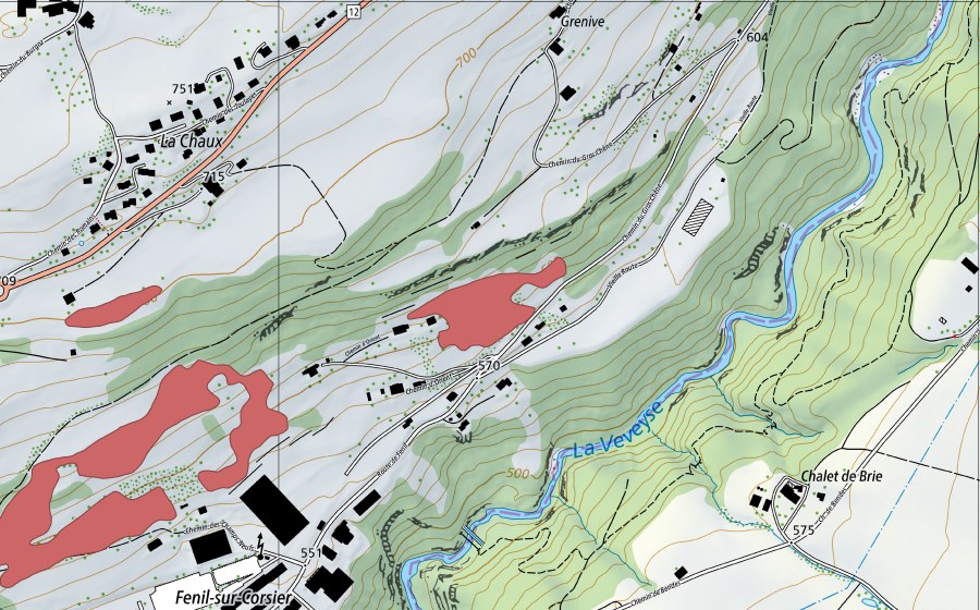 swisstopo national map showing the protected perimeter of Fenil (Dry meadow)