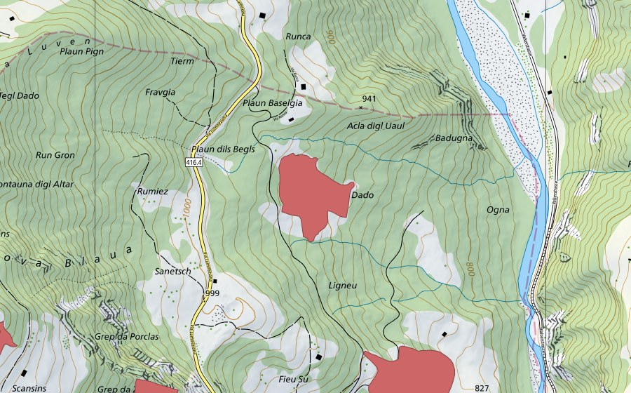 swisstopo national map showing the protected perimeter of Fieu (Dry meadow)