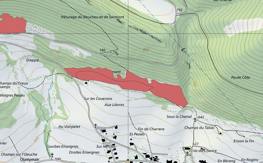 swisstopo national map showing the protected perimeter of Fin de Charrère (Dry meadow)