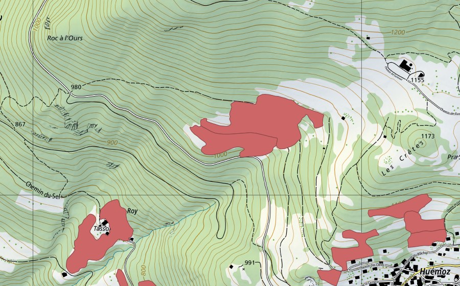 Carte nationale swisstopo avec le périmètre protégé de Fin de Juret (Prairie sèche)