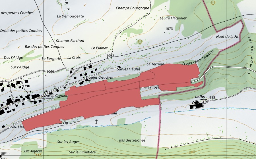 swisstopo national map showing the protected perimeter of Fin de la Madeleine (Dry meadow)