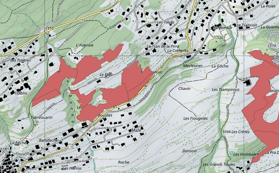 Carte nationale swisstopo avec le périmètre protégé de Fiou (Prairie sèche)