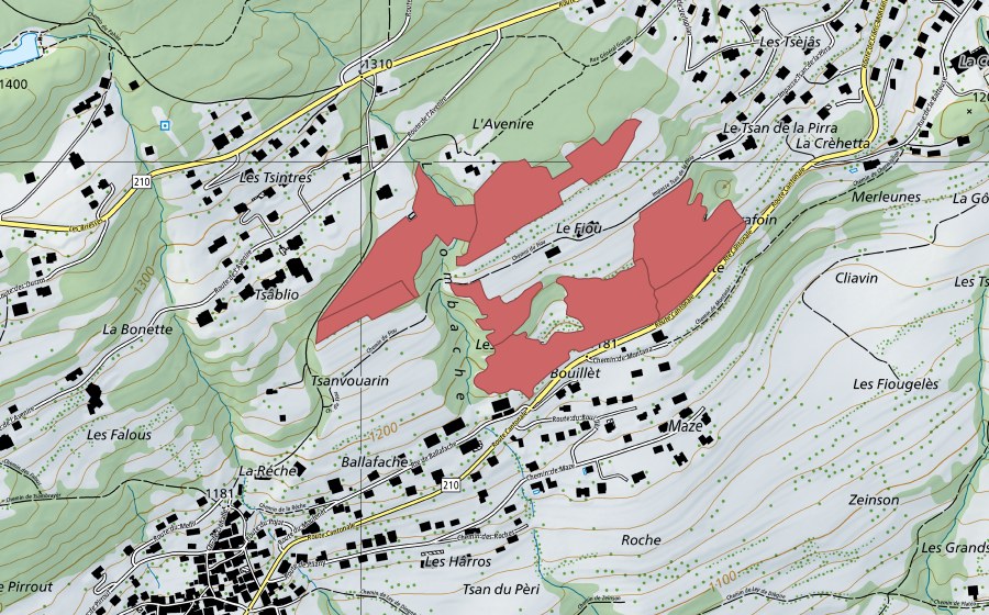 swisstopo national map showing the protected perimeter of Fiou (Dry meadow)