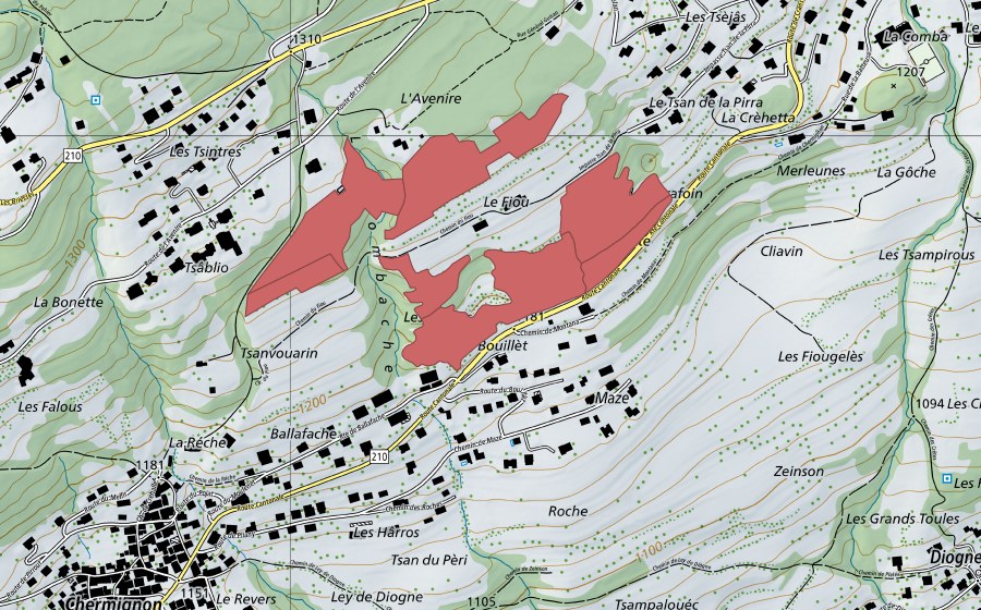 swisstopo national map showing the protected perimeter of Fiou (Dry meadow)