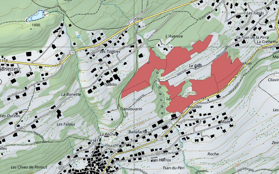 swisstopo national map showing the protected perimeter of Fiou (Dry meadow)