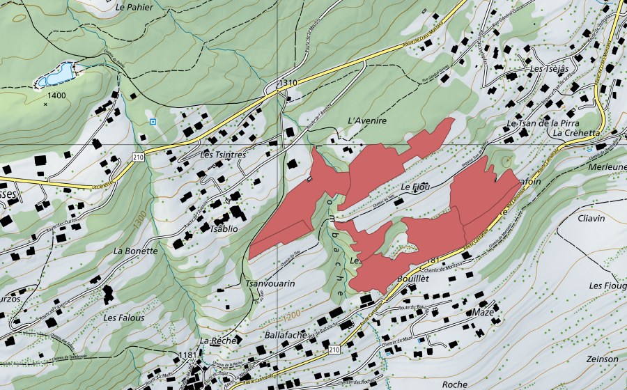 Carte nationale swisstopo avec le périmètre protégé de Fiou (Prairie sèche)