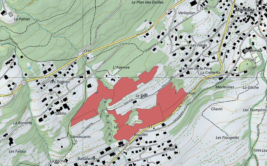 Carte nationale swisstopo avec le périmètre protégé de Fiou (Prairie sèche)