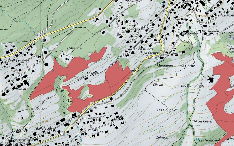 swisstopo national map showing the protected perimeter of Fiou (Dry meadow)