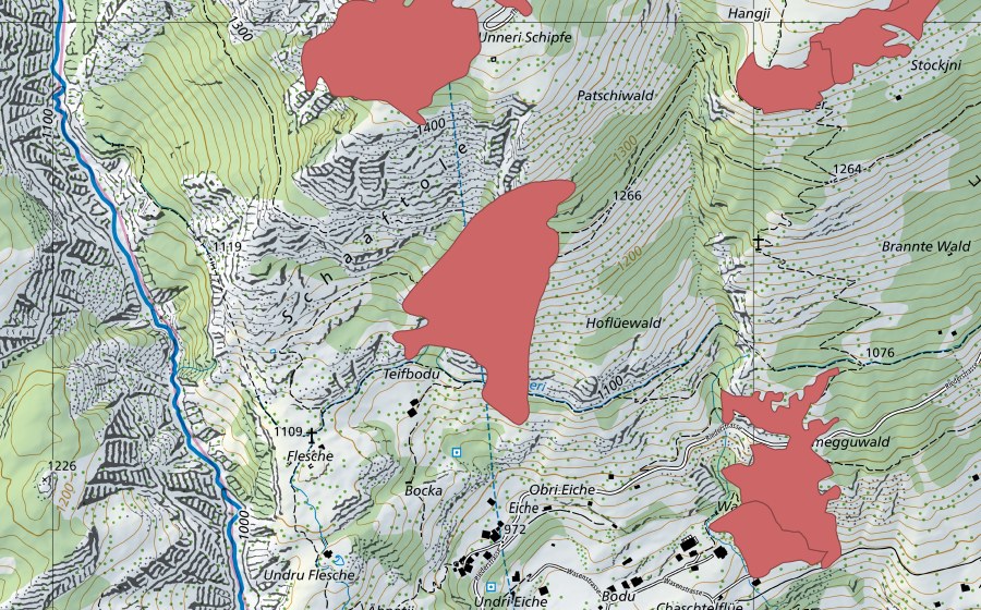 swisstopo national map showing the protected perimeter of Flesche (Dry meadow)
