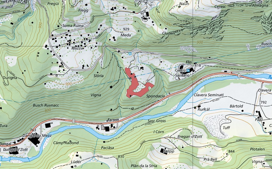 Landeskarte swisstopo mit dem Schutzperimeter von Flin (Trockenwiese)