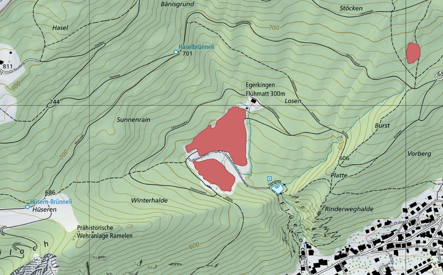 swisstopo national map showing the protected perimeter of Flüematt (Dry meadow)