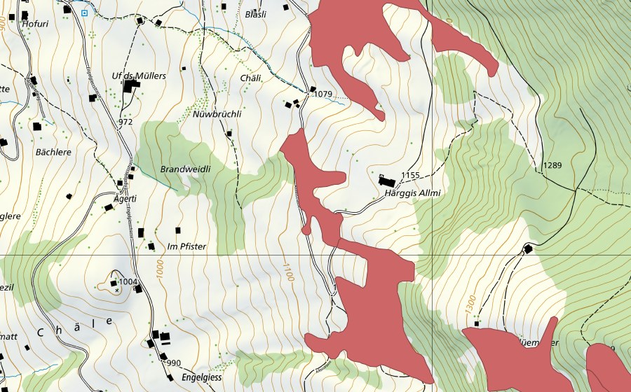swisstopo national map showing the protected perimeter of Flüemeder (Dry meadow)