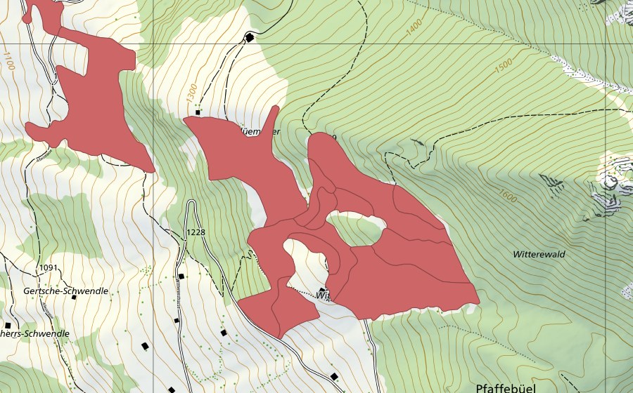 swisstopo national map showing the protected perimeter of Flüemeder (Dry meadow)