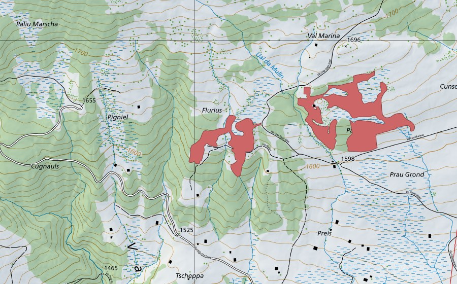 Carte nationale swisstopo avec le périmètre protégé de Flurius (Prairie sèche)