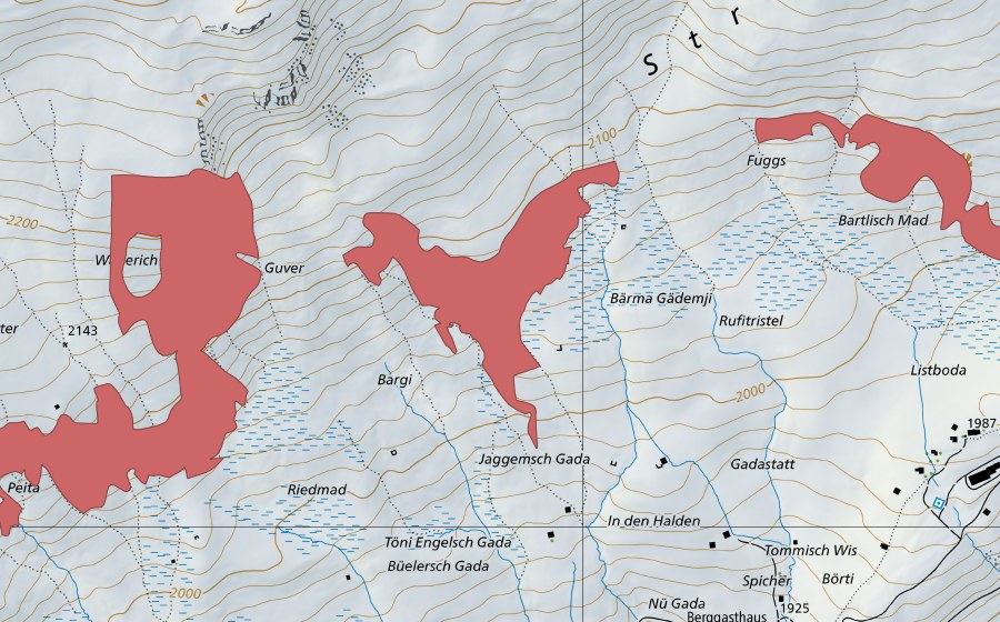 Landeskarte swisstopo mit dem Schutzperimeter von Fondei (Trockenwiese)