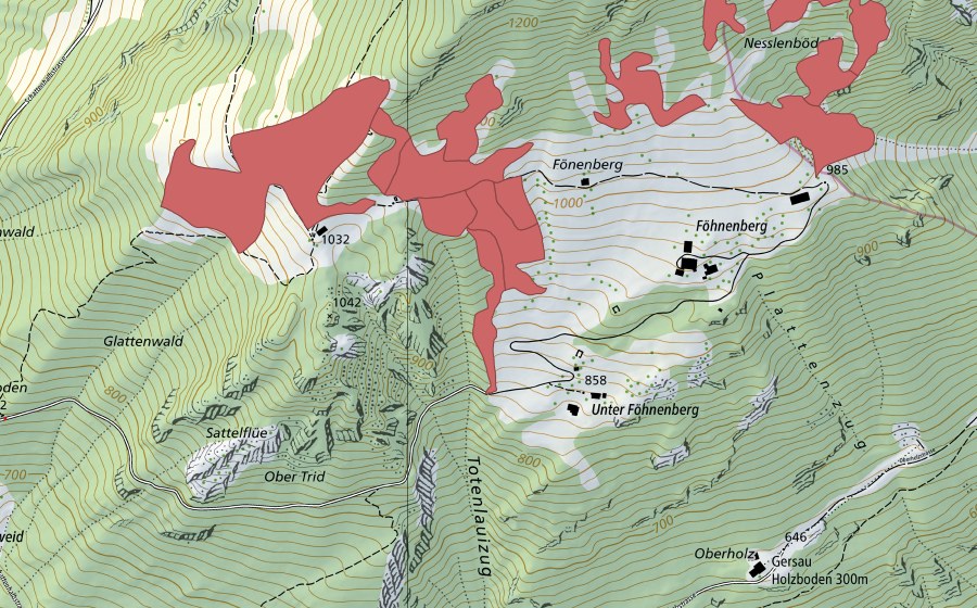 swisstopo national map showing the protected perimeter of Fönenbergen (Dry meadow)