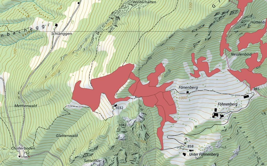 swisstopo national map showing the protected perimeter of Fönenbergen (Dry meadow)