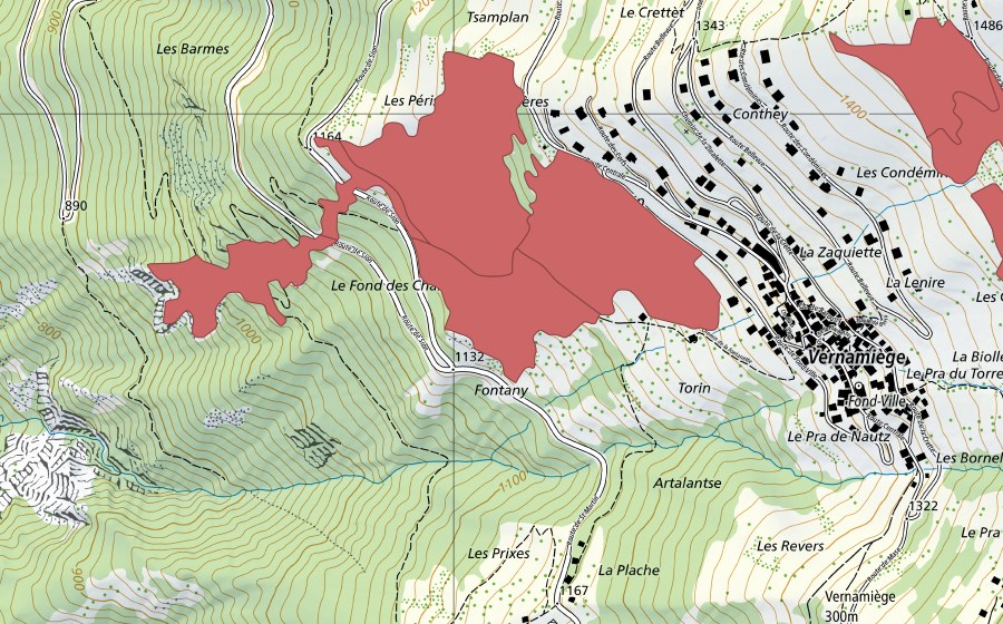 swisstopo national map showing the protected perimeter of Fontany (Dry meadow)