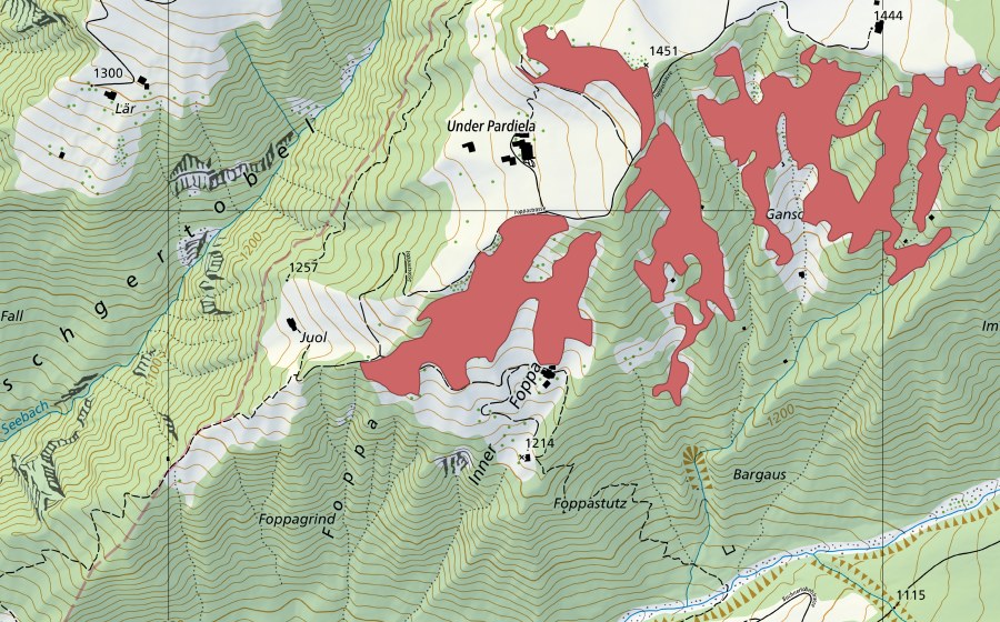 Landeskarte swisstopo mit dem Schutzperimeter von Foppa (Trockenwiese)