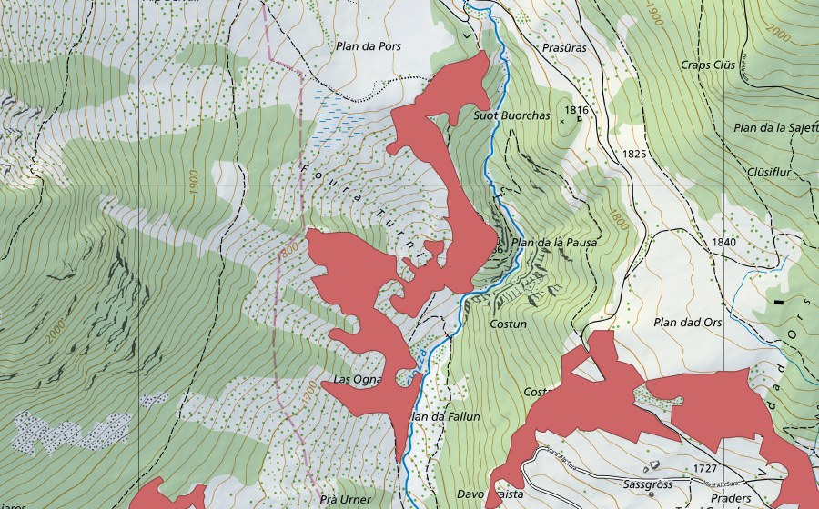 swisstopo national map showing the protected perimeter of Foura Turnina (Dry meadow)