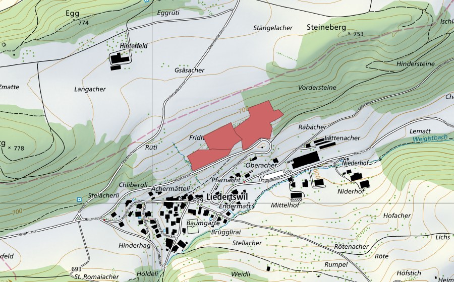 swisstopo national map showing the protected perimeter of Fridhag (Dry meadow)