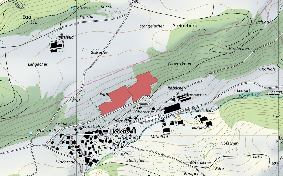 Landeskarte swisstopo mit dem Schutzperimeter von Fridhag (Trockenwiese)