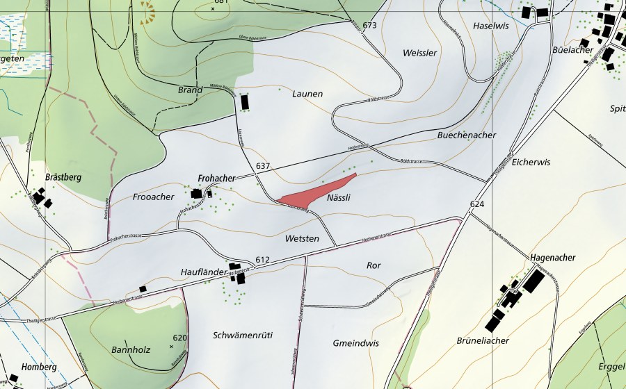 Carte nationale swisstopo avec le périmètre protégé de Froacher (Prairie sèche)