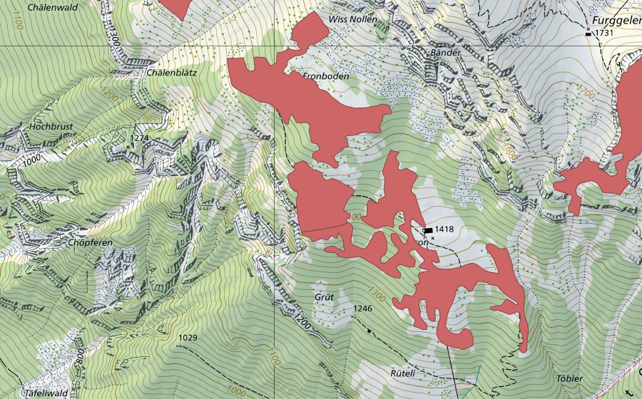swisstopo national map showing the protected perimeter of Fron (Dry meadow)