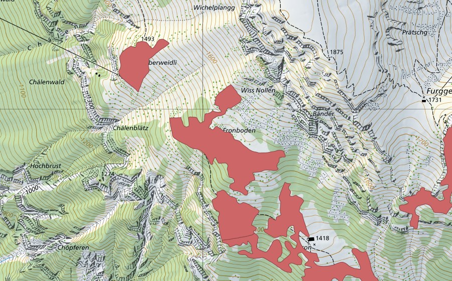 Carte nationale swisstopo avec le périmètre protégé de Fron (Prairie sèche)