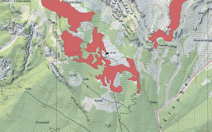 swisstopo national map showing the protected perimeter of Fron (Dry meadow)