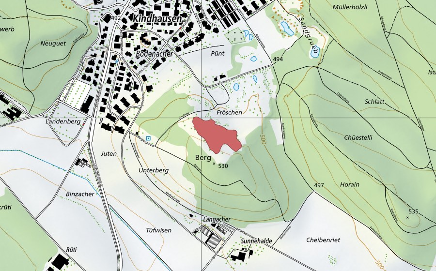 Carte nationale swisstopo avec le périmètre protégé de Fröschen (Prairie sèche)