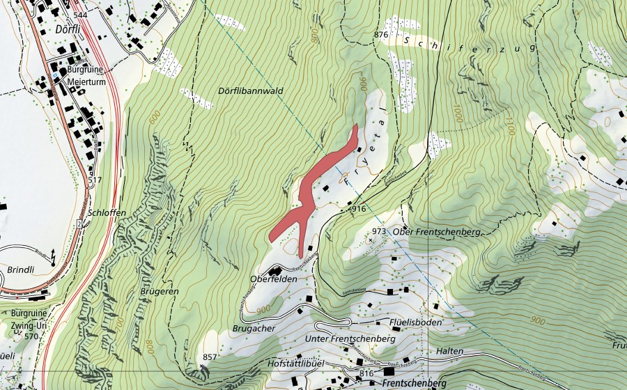 Landeskarte swisstopo mit dem Schutzperimeter von Fryetal (Trockenwiese)