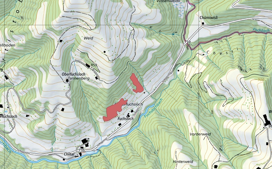 Landeskarte swisstopo mit dem Schutzperimeter von Fuchsloch (Trockenwiese)