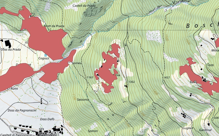 Landeskarte swisstopo mit dem Schutzperimeter von Funtania (Trockenwiese)