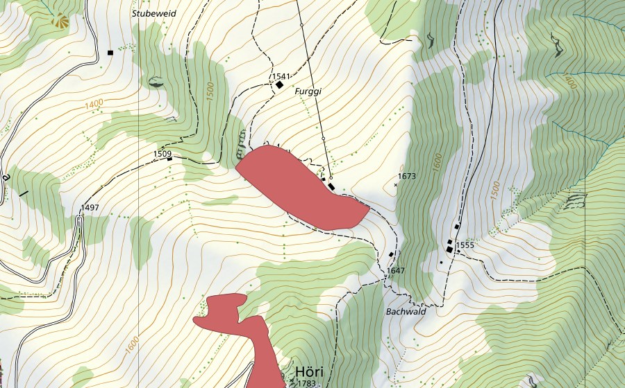 swisstopo national map showing the protected perimeter of Furggi (Dry meadow)