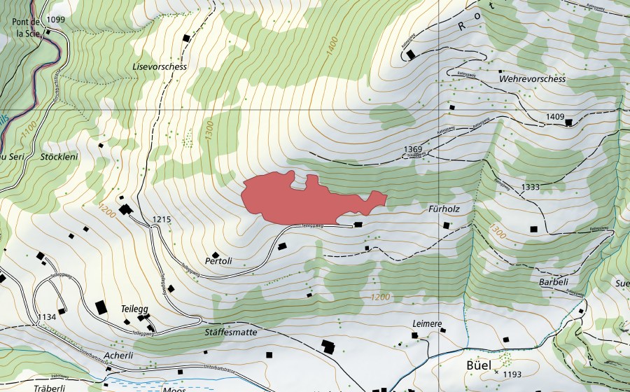 swisstopo national map showing the protected perimeter of Fürholz (Dry meadow)