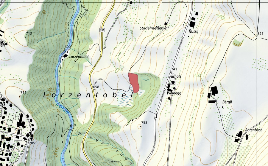 Landeskarte swisstopo mit dem Schutzperimeter von Fürholz (Trockenwiese)