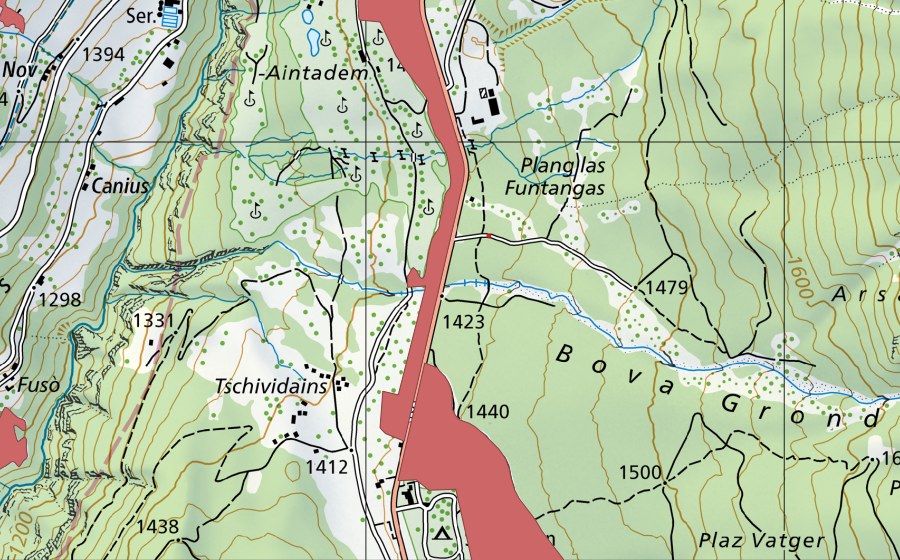 Landeskarte swisstopo mit dem Schutzperimeter von Furtga (Trockenwiese)