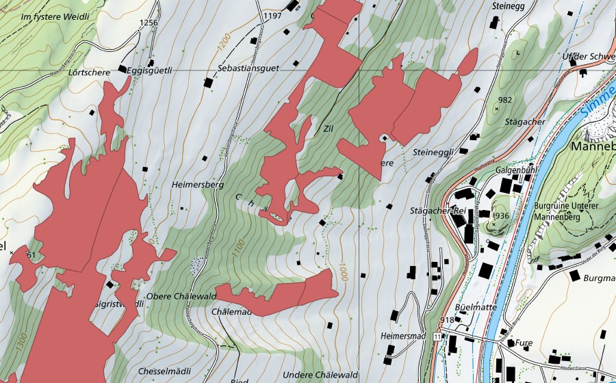 swisstopo national map showing the protected perimeter of Galgebüel (Dry meadow)