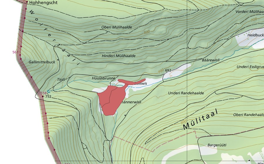 swisstopo national map showing the protected perimeter of Galliwisen (Dry meadow)