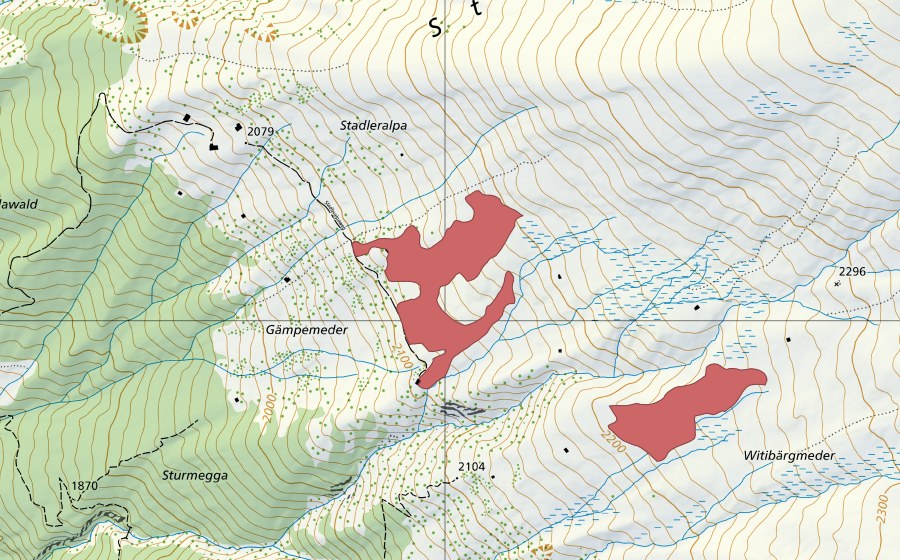 swisstopo national map showing the protected perimeter of Gämpimeder (Dry meadow)