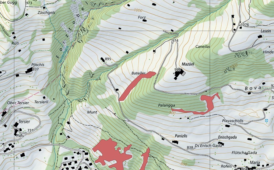 Landeskarte swisstopo mit dem Schutzperimeter von Ganeiles (Trockenwiese)