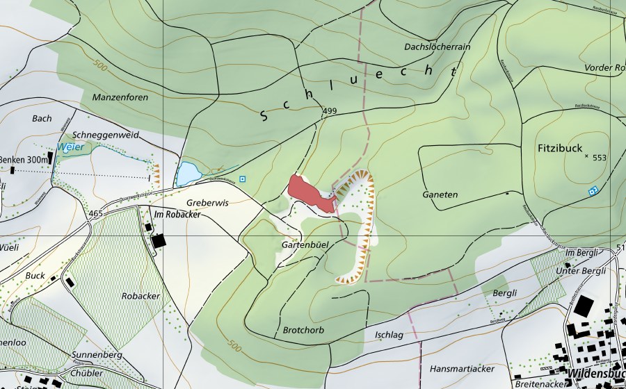 Carte nationale swisstopo avec le périmètre protégé de Ganeten (Prairie sèche)